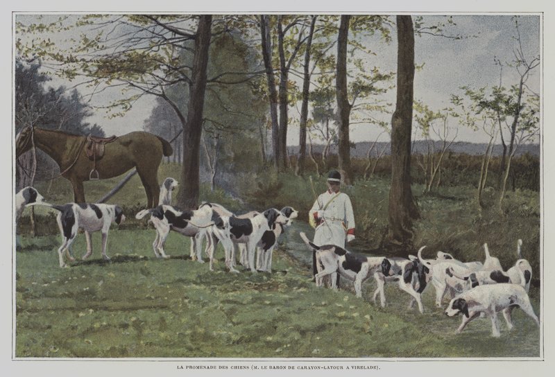 حزمة من كلاب الصيد من Baron de Carayon-Latour في Virelade ، فرنسا (صورة ملونة) بواسطة مصور فرنسي