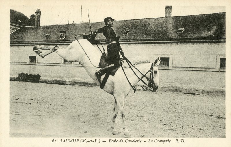 Saumur (Maine-et-Loire) ، مدرسة الفرسان ، La Croupade بواسطة مصور فرنسي