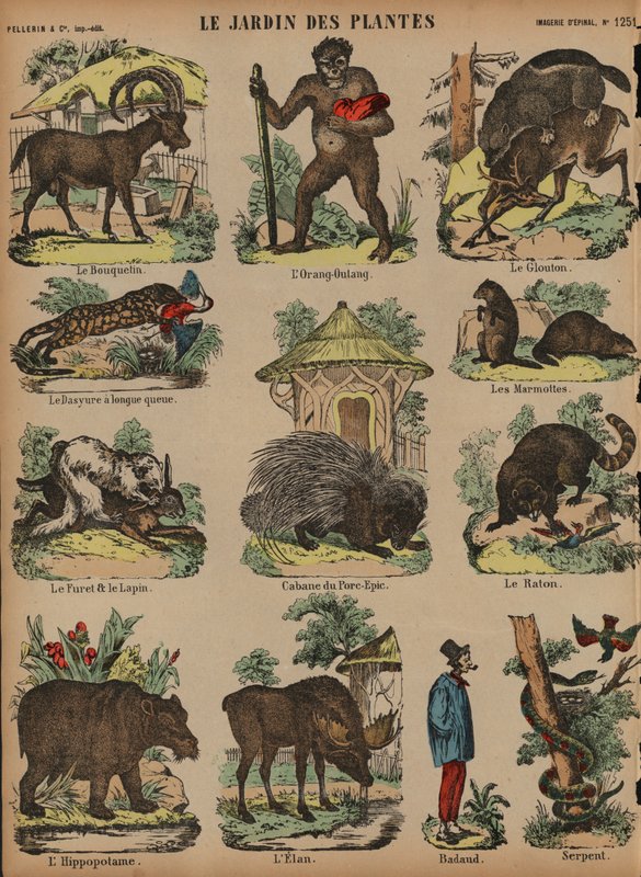 Animals at the Jardin des Plantes, Paris, France (coloured engraving) بواسطة المدرسة الفرنسية