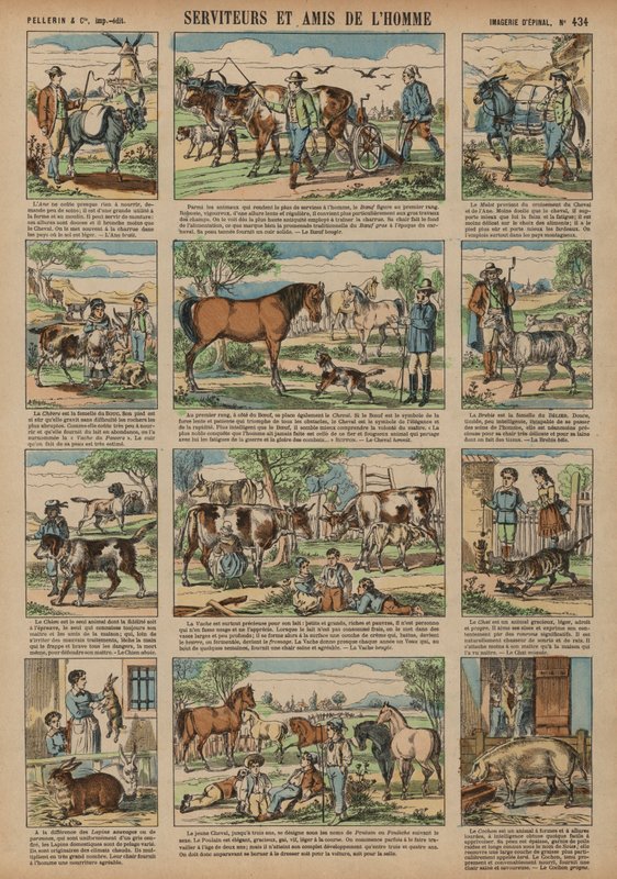 Animals beneficial to man (coloured engraving) بواسطة المدرسة الفرنسية
