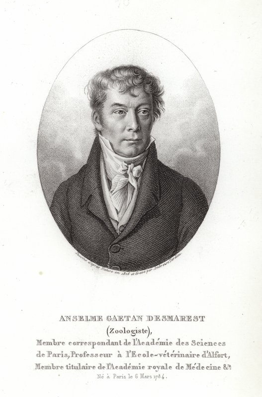 Anselme Gaëtan Desmarest بواسطة المدرسة الفرنسية