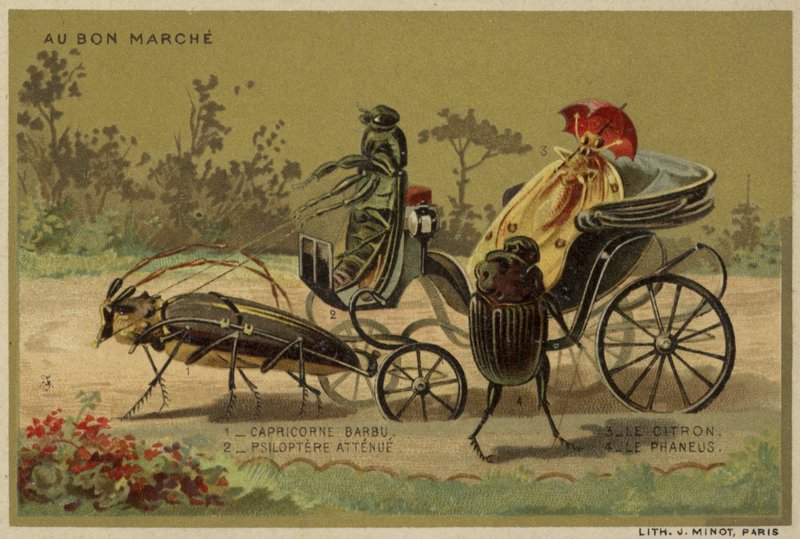 تتميز بطاقات Au Bon Marche بالحشرات المجسمة بواسطة المدرسة الفرنسية