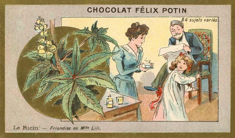 زيت الخروع - طعام شهي من Miss Lili (chromolitho) بواسطة المدرسة الفرنسية