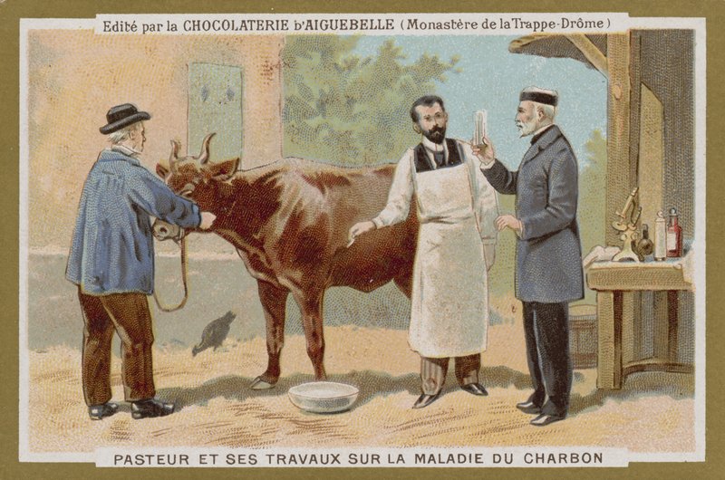 بطاقة تجارية Chocolat dAiguebelle بواسطة المدرسة الفرنسية