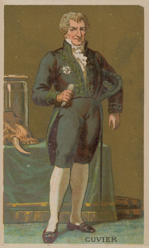 جورج كوفييه ، عالم الطبيعة الفرنسي وطبيب الحيوان (1769-1832) بواسطة المدرسة الفرنسية
