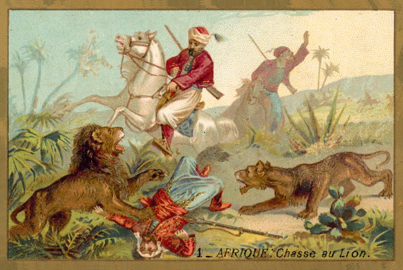Hunting lion in Africa (chromolitho) بواسطة المدرسة الفرنسية