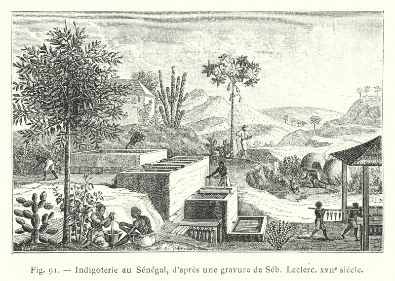 Indigoterie في السنغال ، بعد نقش لـ Seb ، Leclerc ، القرن السابع عشر (نقش) بواسطة المدرسة الفرنسية
