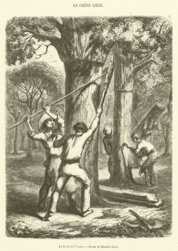 The Bark Levee (نقش) بواسطة المدرسة الفرنسية