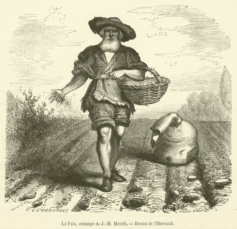 La Paix (engraving) بواسطة المدرسة الفرنسية