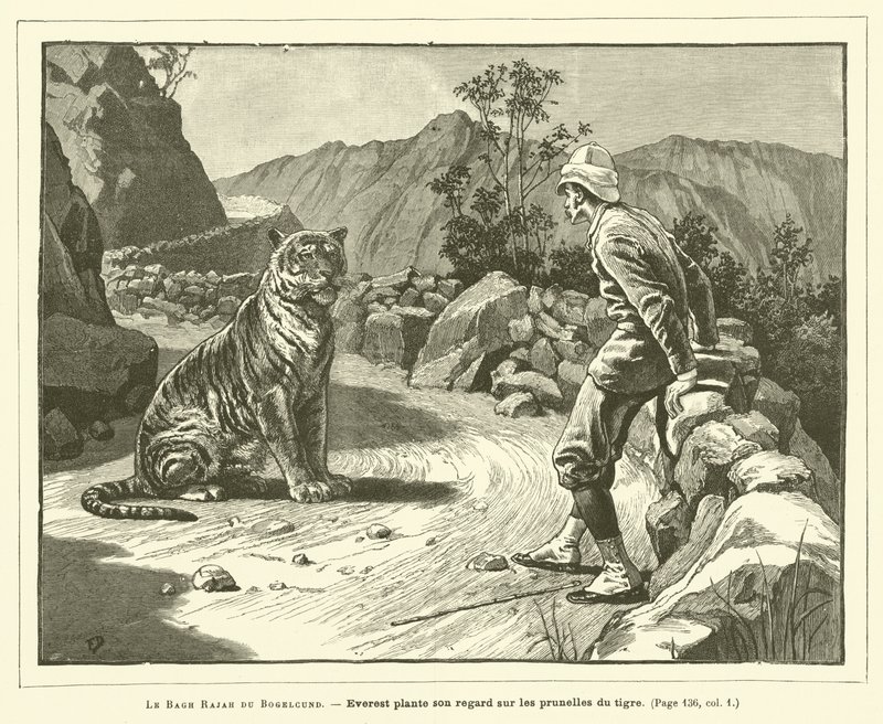 Le Bagh Rajah Du Bogelcund (نقش) بواسطة المدرسة الفرنسية