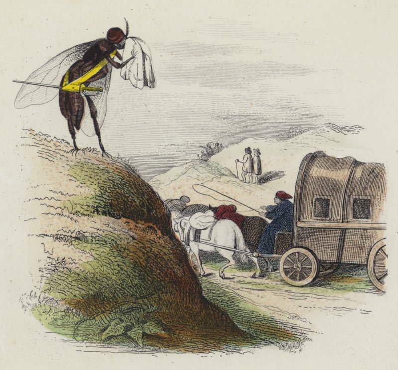 Le Coche Et La Mouche (coloured engraving) بواسطة المدرسة الفرنسية