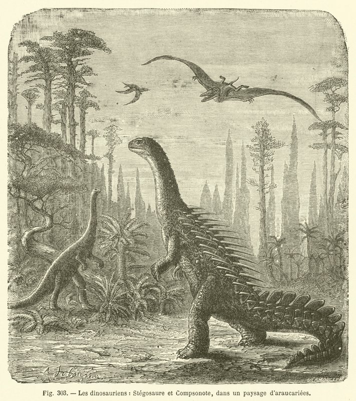 الديناصورات ، Stegosaurus و Compsonote ، في مشهد araucariees (نقش) بواسطة المدرسة الفرنسية