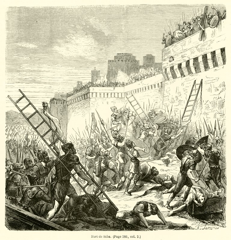 Mort de Seba (engraving) بواسطة المدرسة الفرنسية