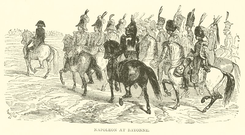 Napoleon at Bayonne (engraving) بواسطة المدرسة الفرنسية