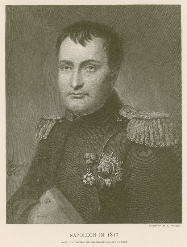 نابليون عام 1813 بواسطة المدرسة الفرنسية