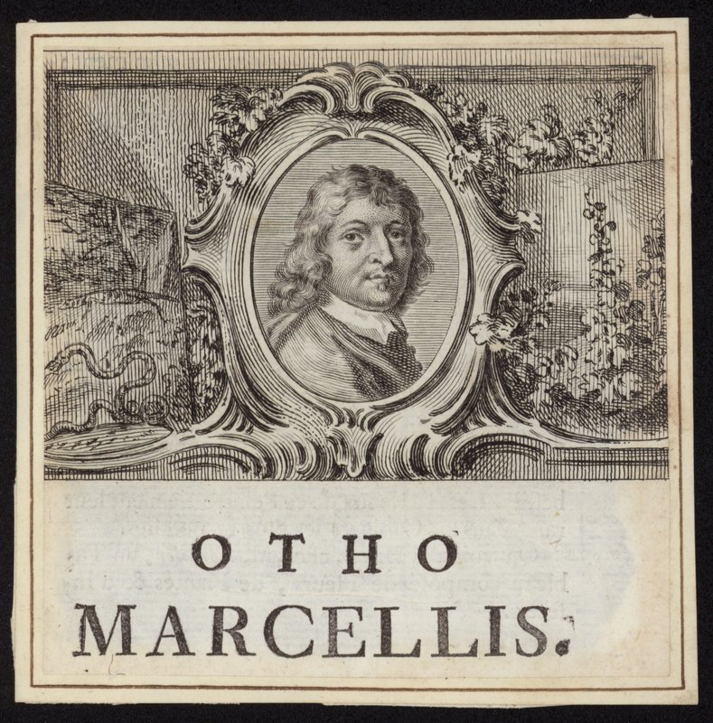 Otto Marseus van Schrieck بواسطة المدرسة الفرنسية