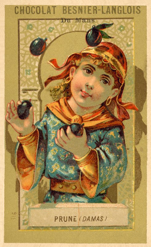 Plums from Damascus (chromolitho) بواسطة المدرسة الفرنسية