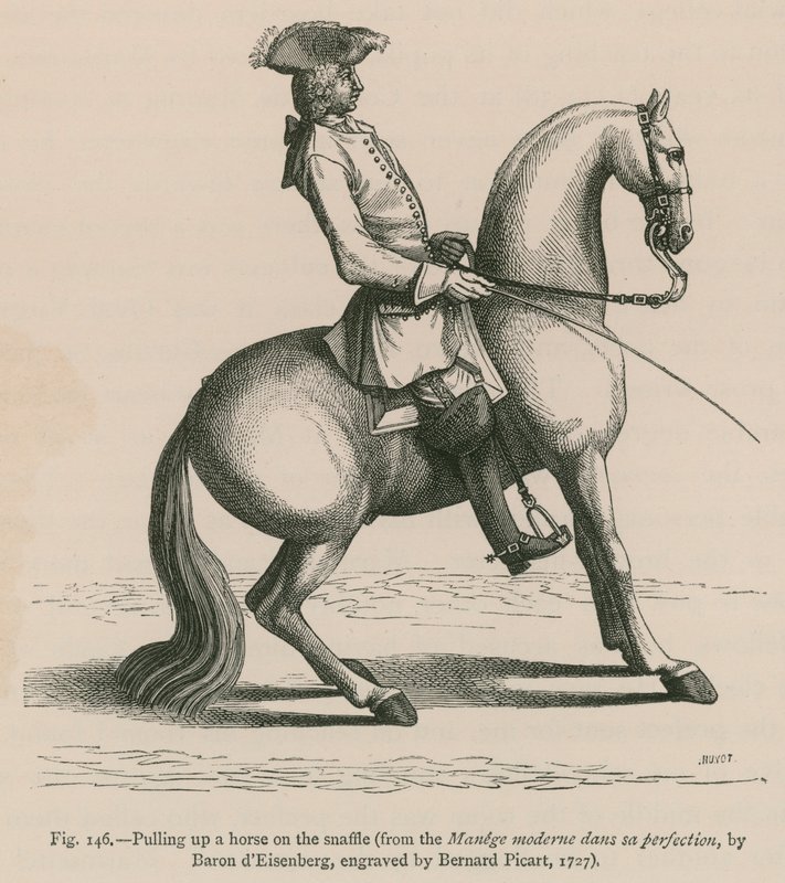 سحب حصان على Snaffle (من Manege moderne dans sa perfect ، بواسطة Baron dEisenberg ، منقوش بواسطة Bernard Picart ، 1727) بواسطة المدرسة الفرنسية