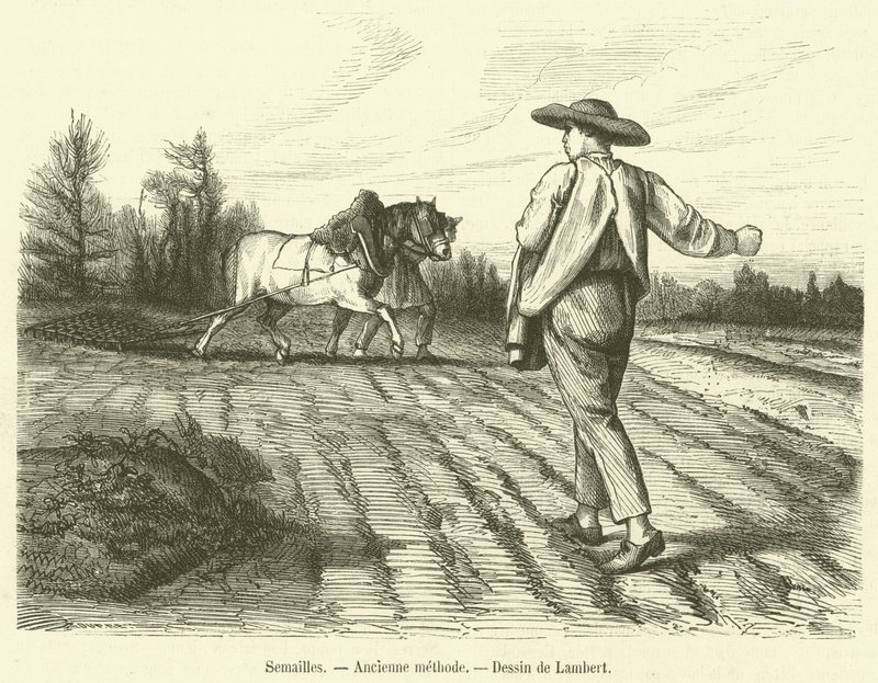 Semailles, Ancienne methode (engraving) بواسطة المدرسة الفرنسية