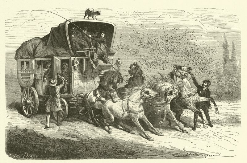 The rain of beetles (engraving) بواسطة المدرسة الفرنسية