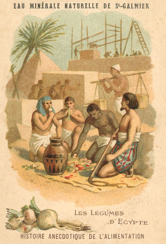 خضروات مصر (كروموليثو) بواسطة المدرسة الفرنسية