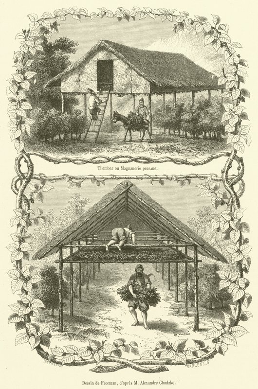 Tilembar ou Magnanerie persane (نقش) بواسطة المدرسة الفرنسية