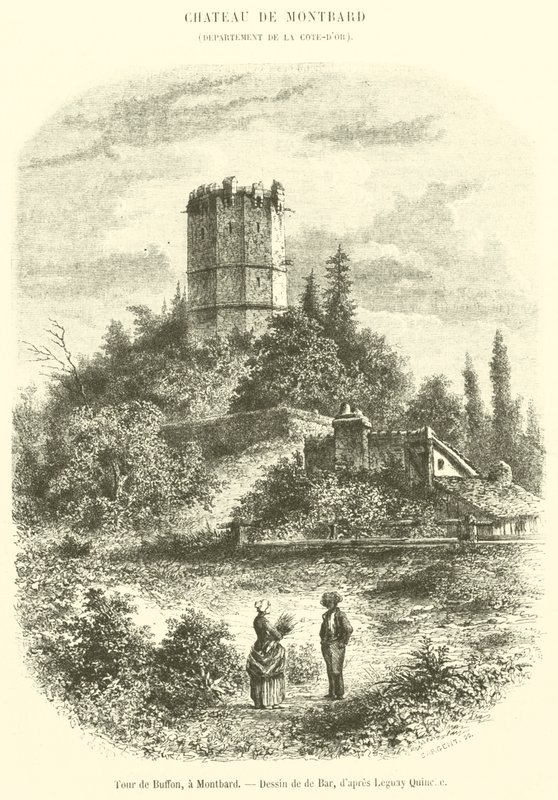 Tour de Buffon, a Montbard (engraving) بواسطة المدرسة الفرنسية