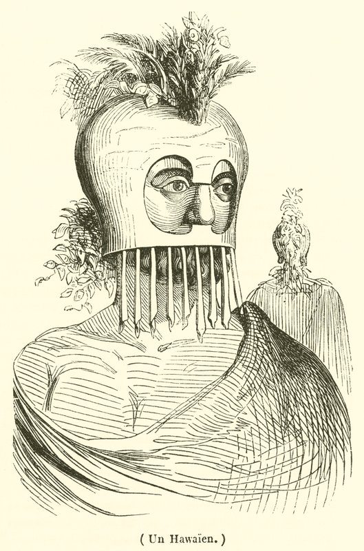 Un Hawaien (engraving) بواسطة المدرسة الفرنسية
