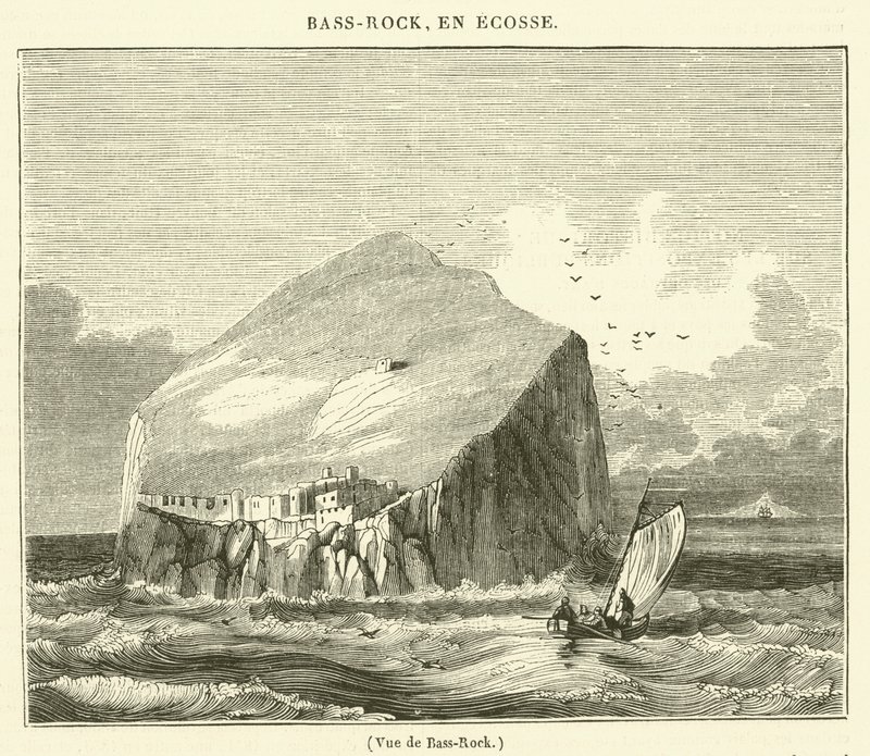 منظر لـ Bass-Rock (نقش) بواسطة المدرسة الفرنسية