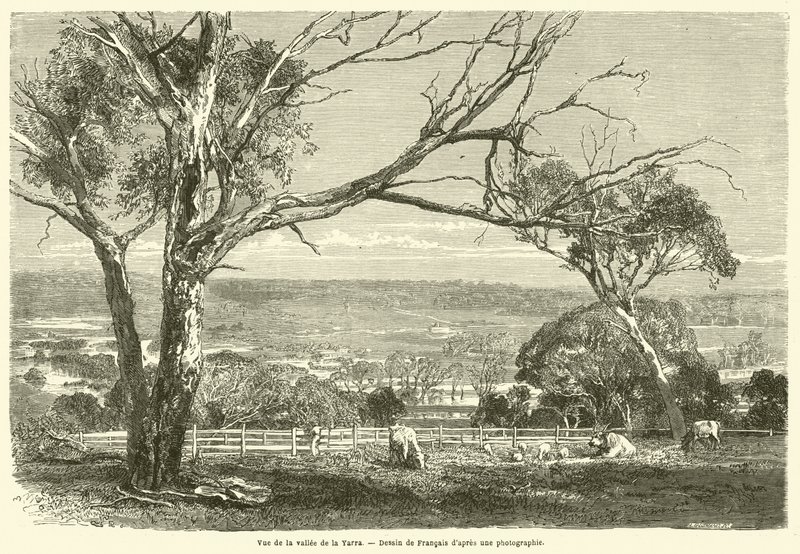 Vue de la vallee de la Yarra (نقش) بواسطة المدرسة الفرنسية