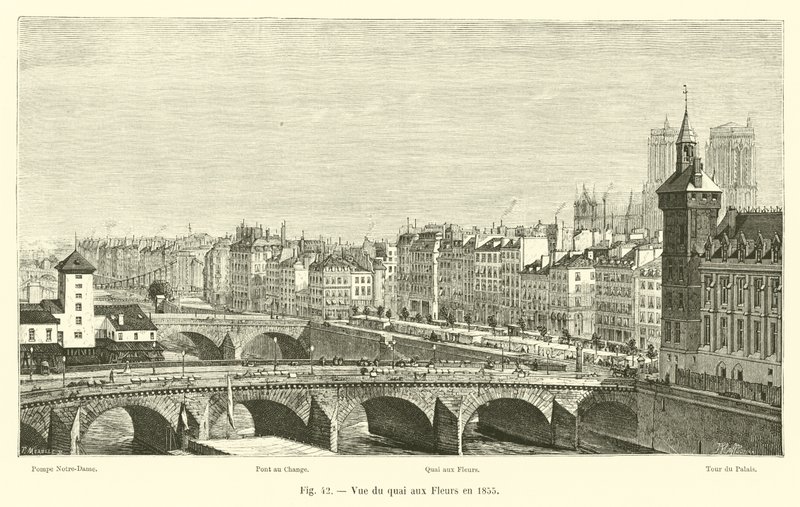 منظر Quai aux Fleurs في عام 1855 بواسطة المدرسة الفرنسية