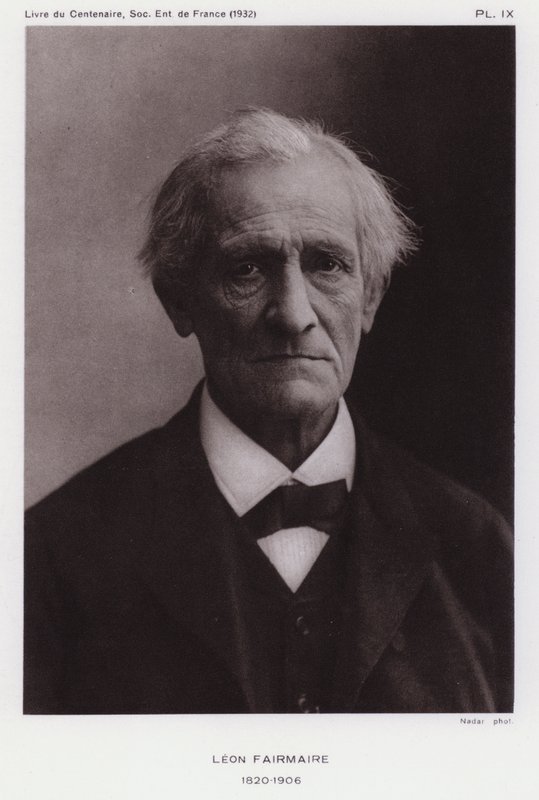 Leon Fairmaire, French entomologist (b/w photo) بواسطة غاسبار فيليكس تورناشون نادار