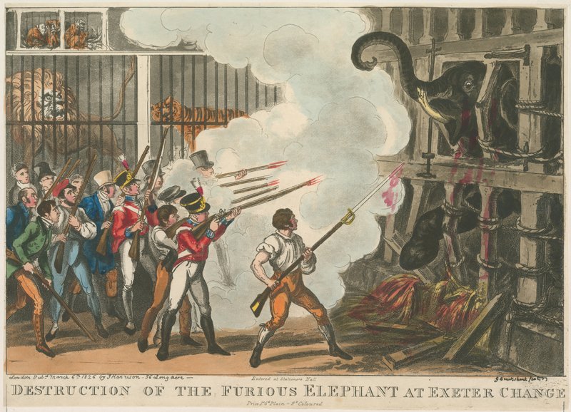 تدمير الفيل الغاضب في إكستر التغيير ، 1826 بواسطة جورج كروكشانك