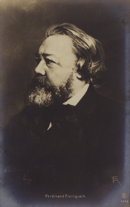 فرديناند فرايليغراث (1810-1876)، شاعر ألماني (صورة فوتوغرافية بالأبيض والأسود) بواسطة مصور ألماني