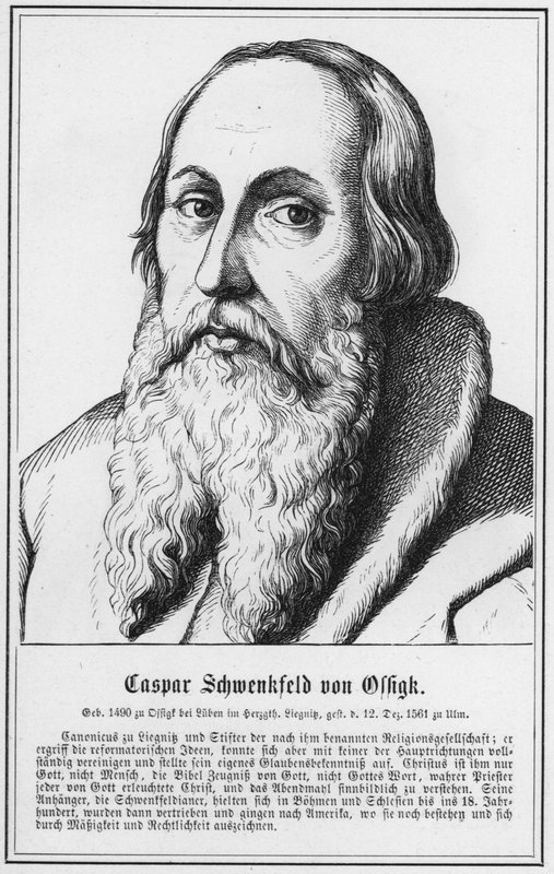 Caspar Schwenkfeld von Ossigk (نقش) بواسطة المدرسة الألمانية