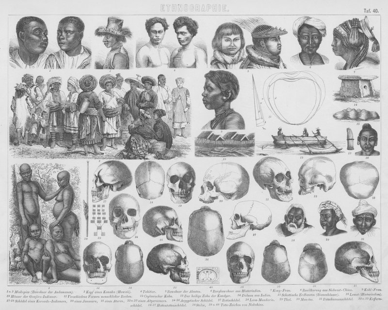 رسم توضيحي لـ Bilder-Atlas: الأجناس والجماجم (النقش) بواسطة المدرسة الألمانية