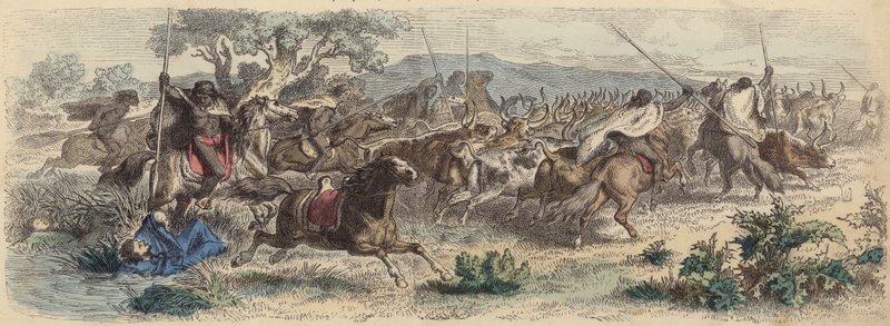 الهنود يفاجئون Gauchos على Pampas ويهربون مع قطيعهم من الماشية (نقش ملون) بواسطة المدرسة الألمانية