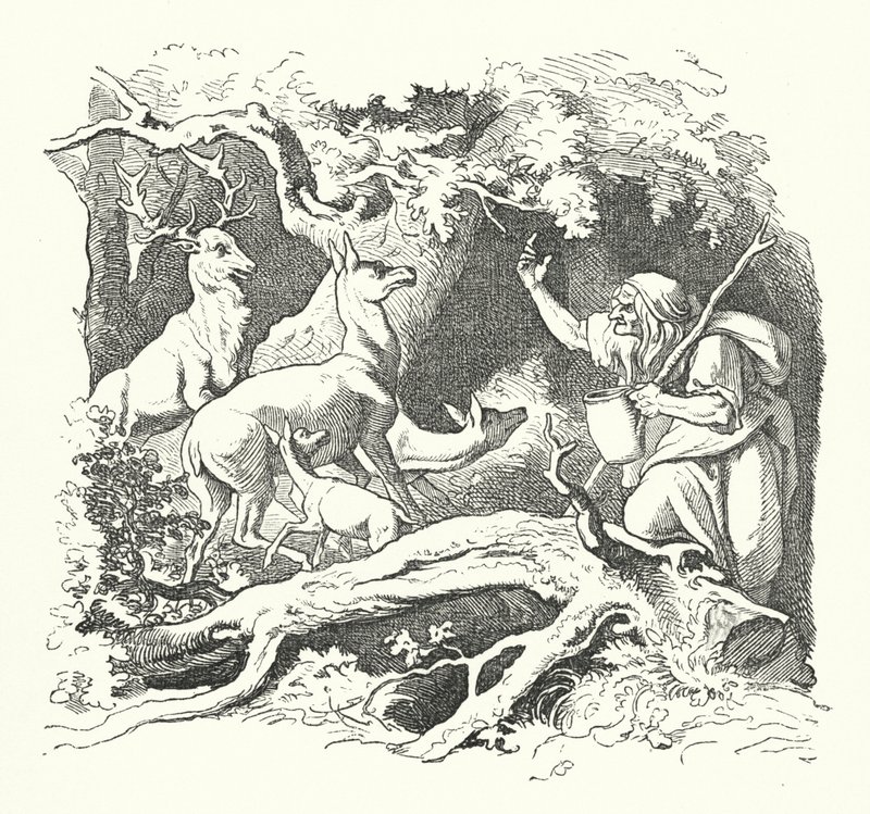 The Witch and the King