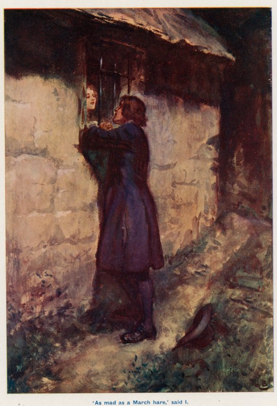 رسم توضيحي لـ Lorna Doone بواسطة جوردون فريدريك براون