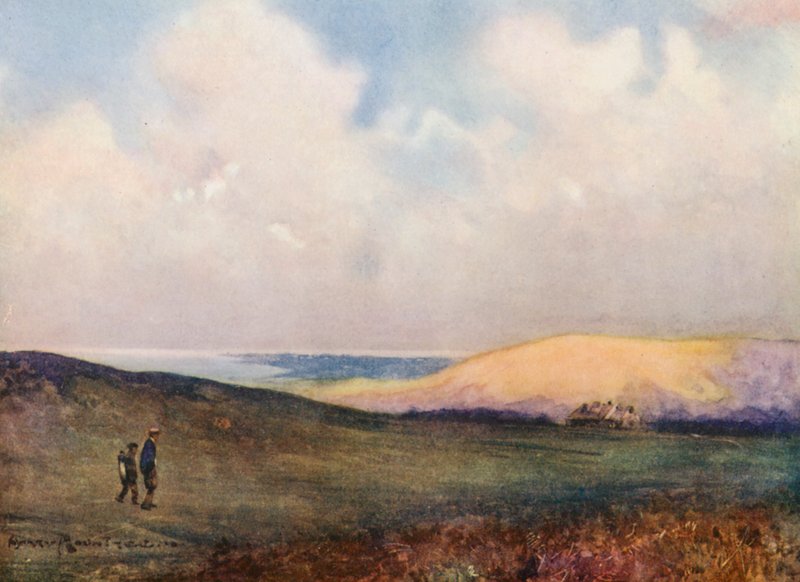  بواسطة هاري (1878 - 1950) رونتري
