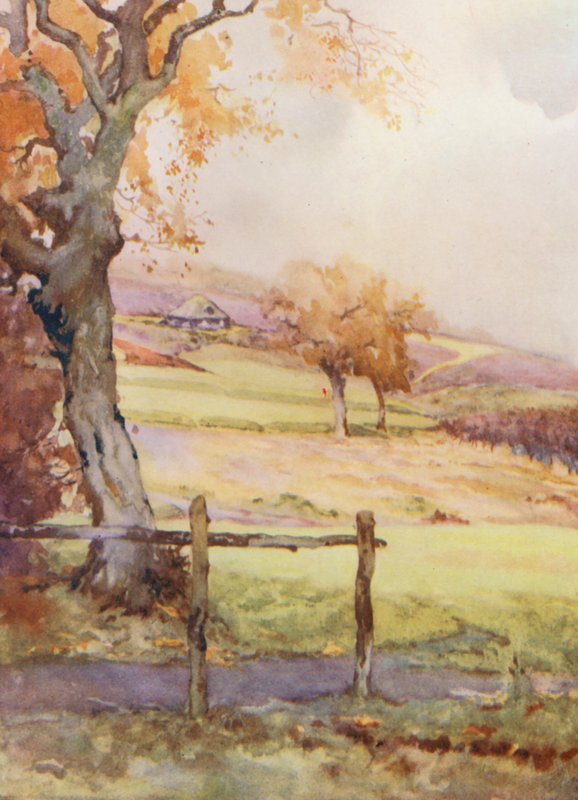  بواسطة هاري (1878-1950) رونتري