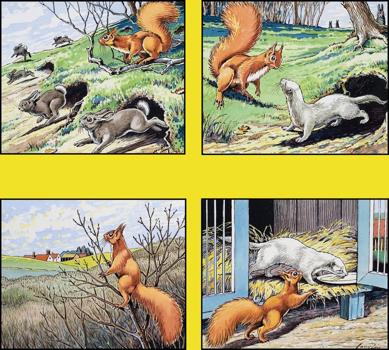 السنجاب الأحمر الصغير بواسطة Harry M. Pettit