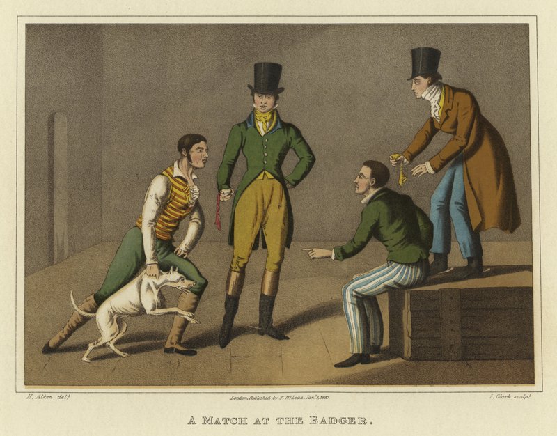 مباراة في البادجر (chromolitho) بواسطة هنري توماس الكين