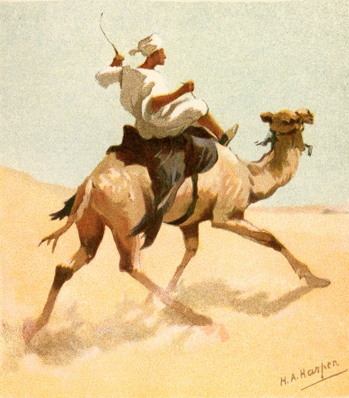 ساعي بريد عربي بواسطة هنري أندرو هاربر