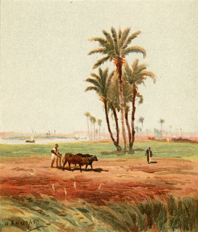 في الحقل بواسطة هنري أندرو هاربر