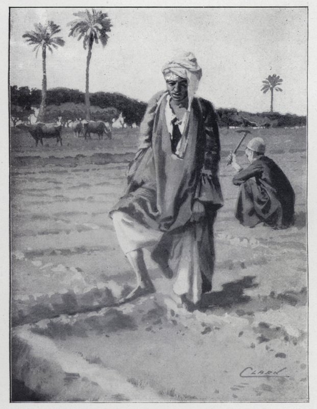 سقي بالقدم في الجيزة ، مصر (ليثو) بواسطة هنري أندرو هاربر