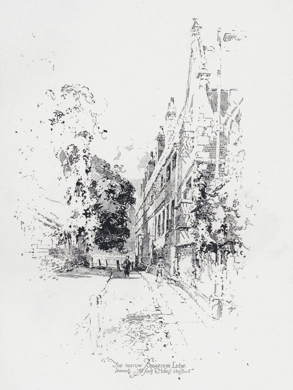 شارع Brasenose الضيق ، أكسفورد ، يظهر كلية All Souls وشجرة كستناء Reginald Heber (litho) بواسطة هربرت (بعد) رايلتون