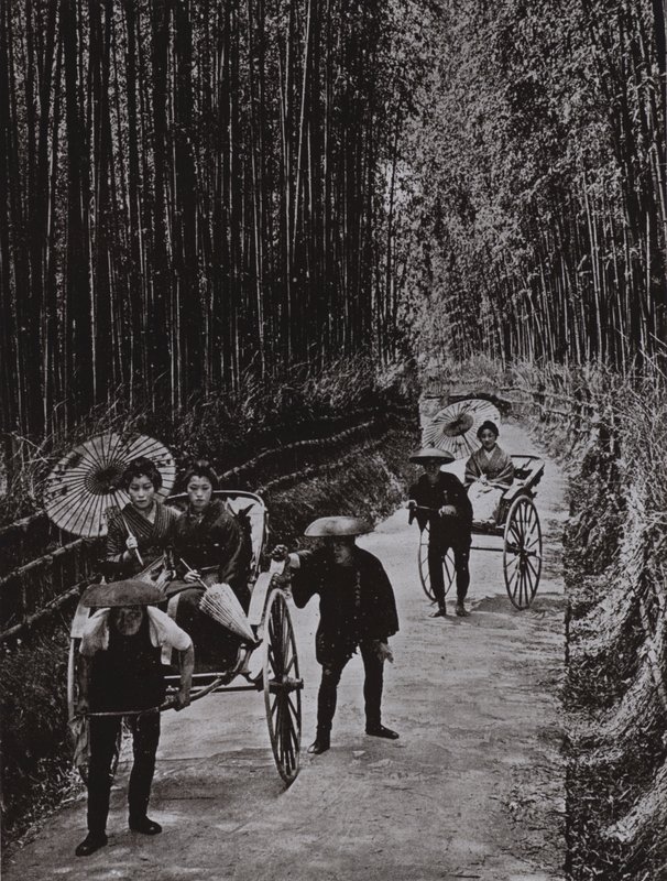 A Bamboo Avenue في كيوتو (صورة بالأبيض والأسود) بواسطة هربرت بونتينج