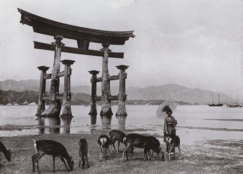 The Old Torii at Miyajima (صورة b / w) بواسطة هربرت بونتينج