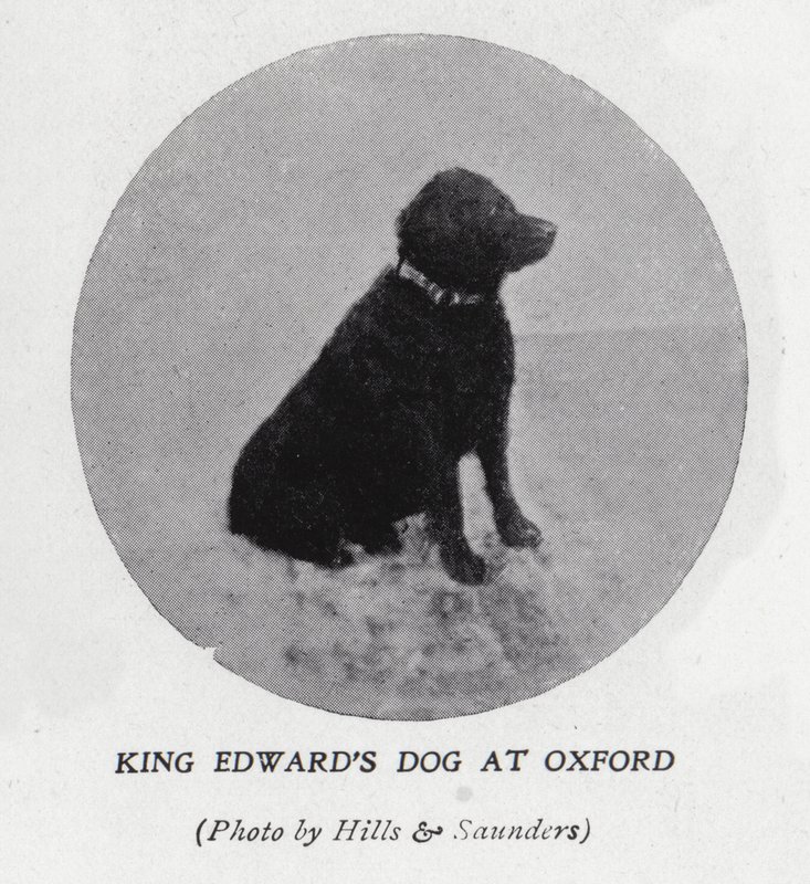 King Edward VII